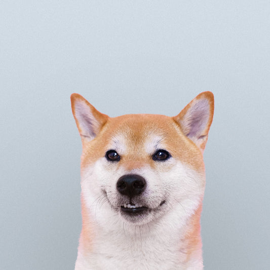 AKI