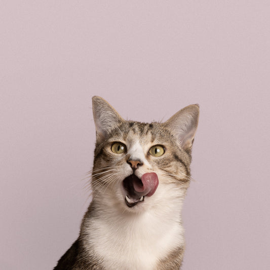 NINA