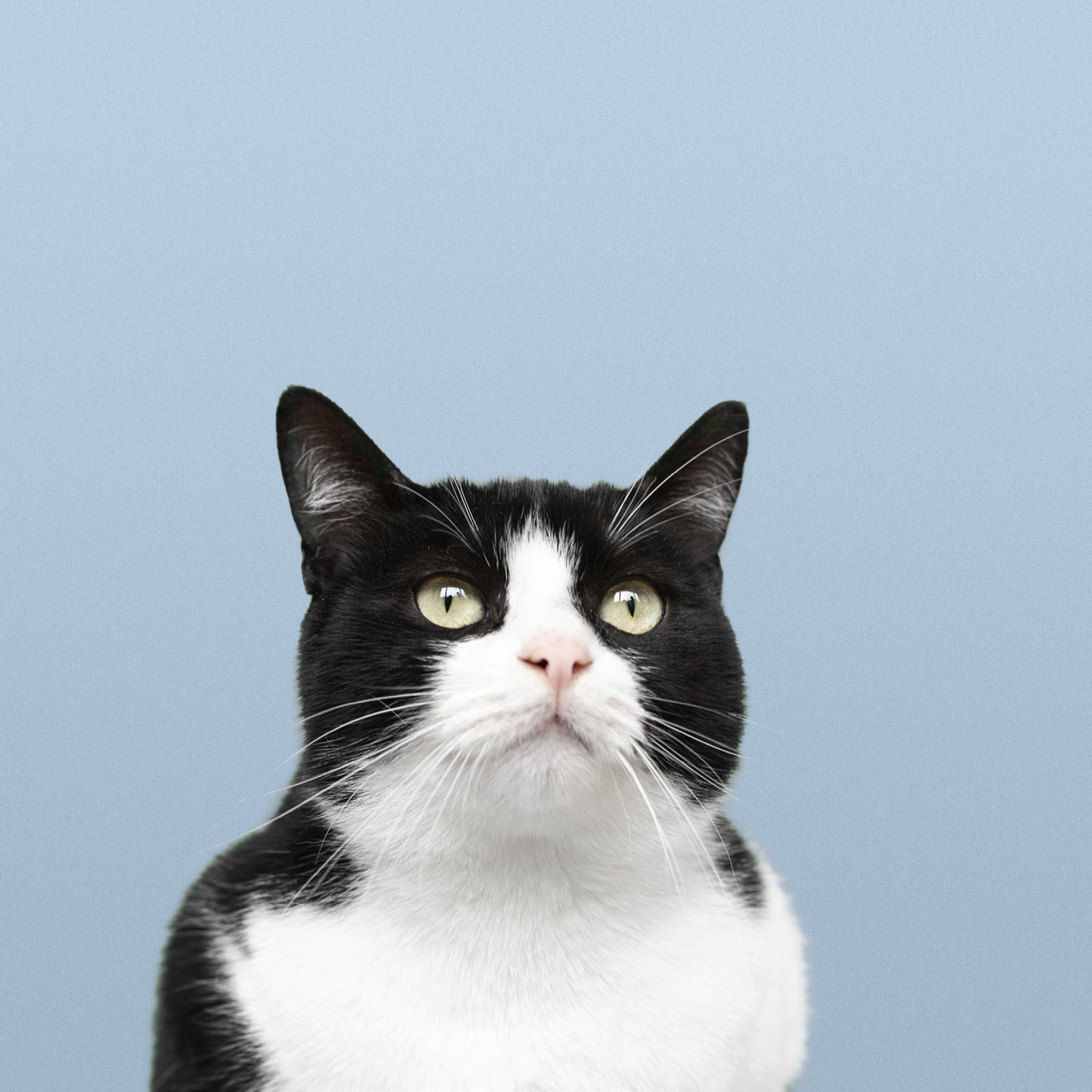 TUNA