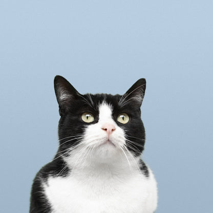 TUNA