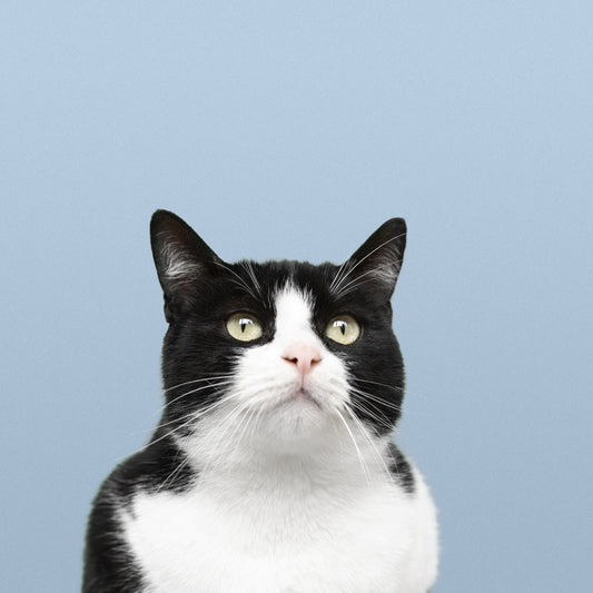 TUNA