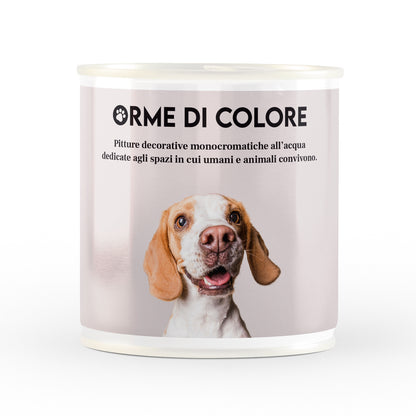 PALLINA
